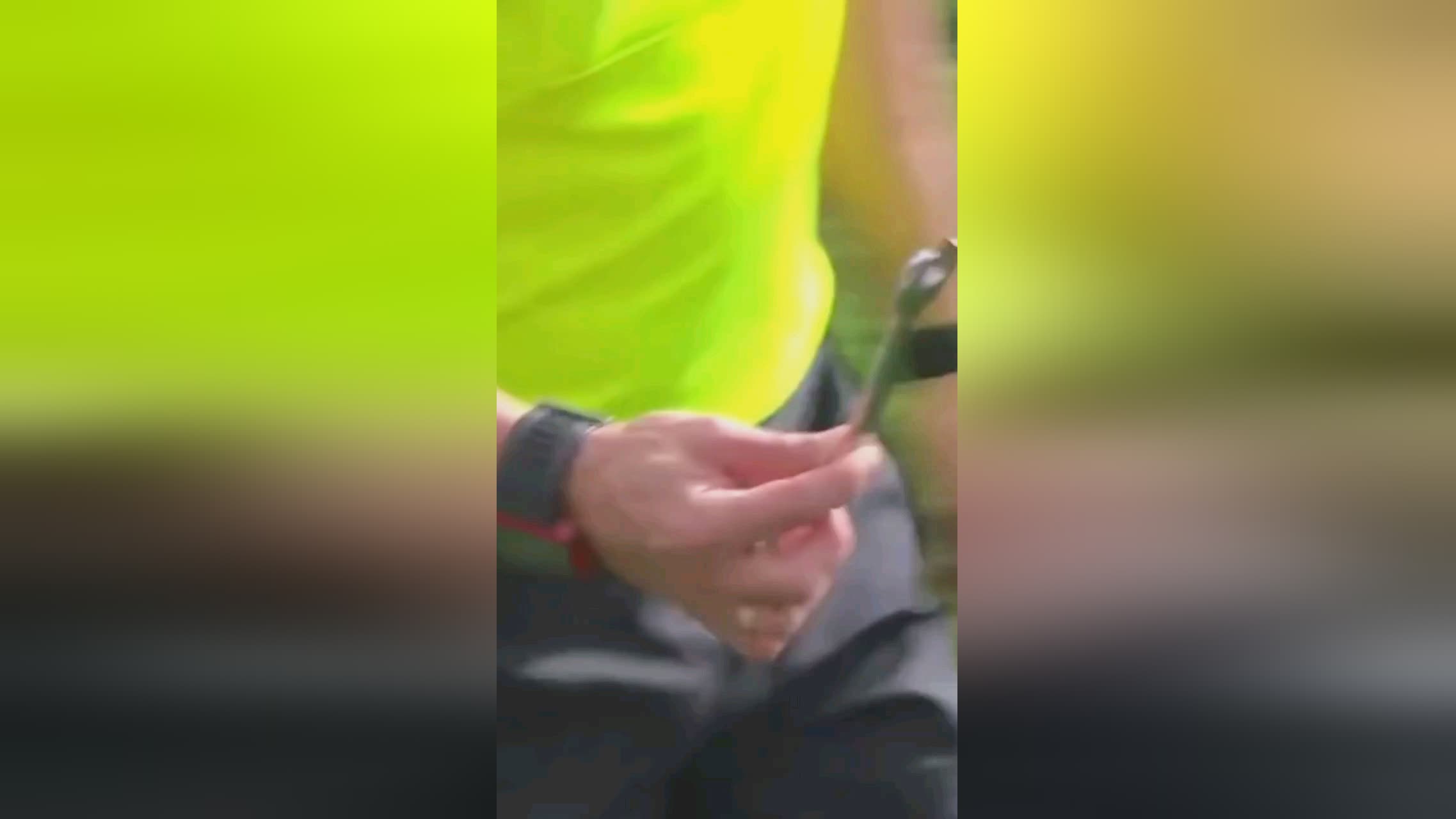 赖什虽然姆